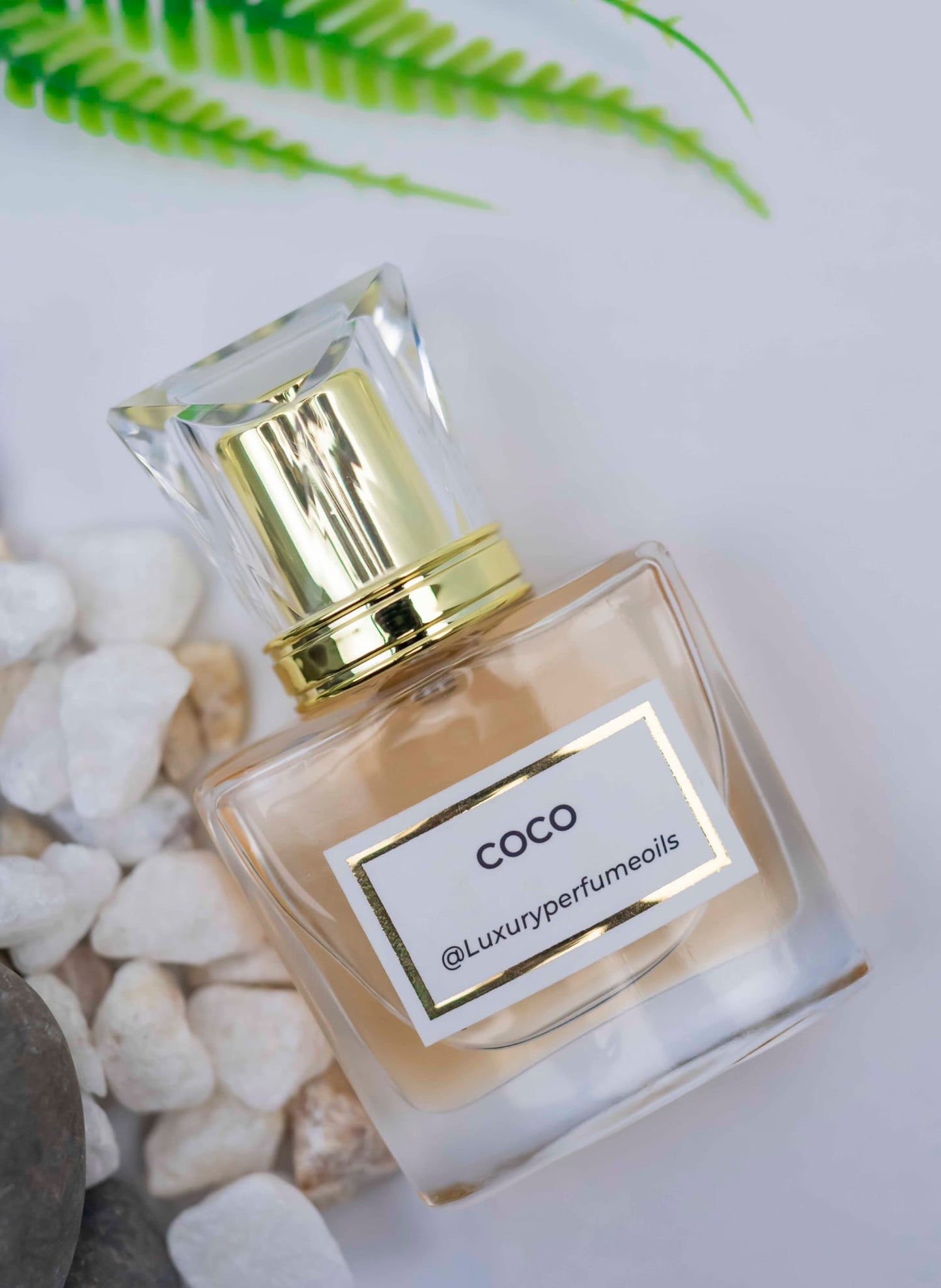Coco Mademoiselle (Inspired by Chanel)