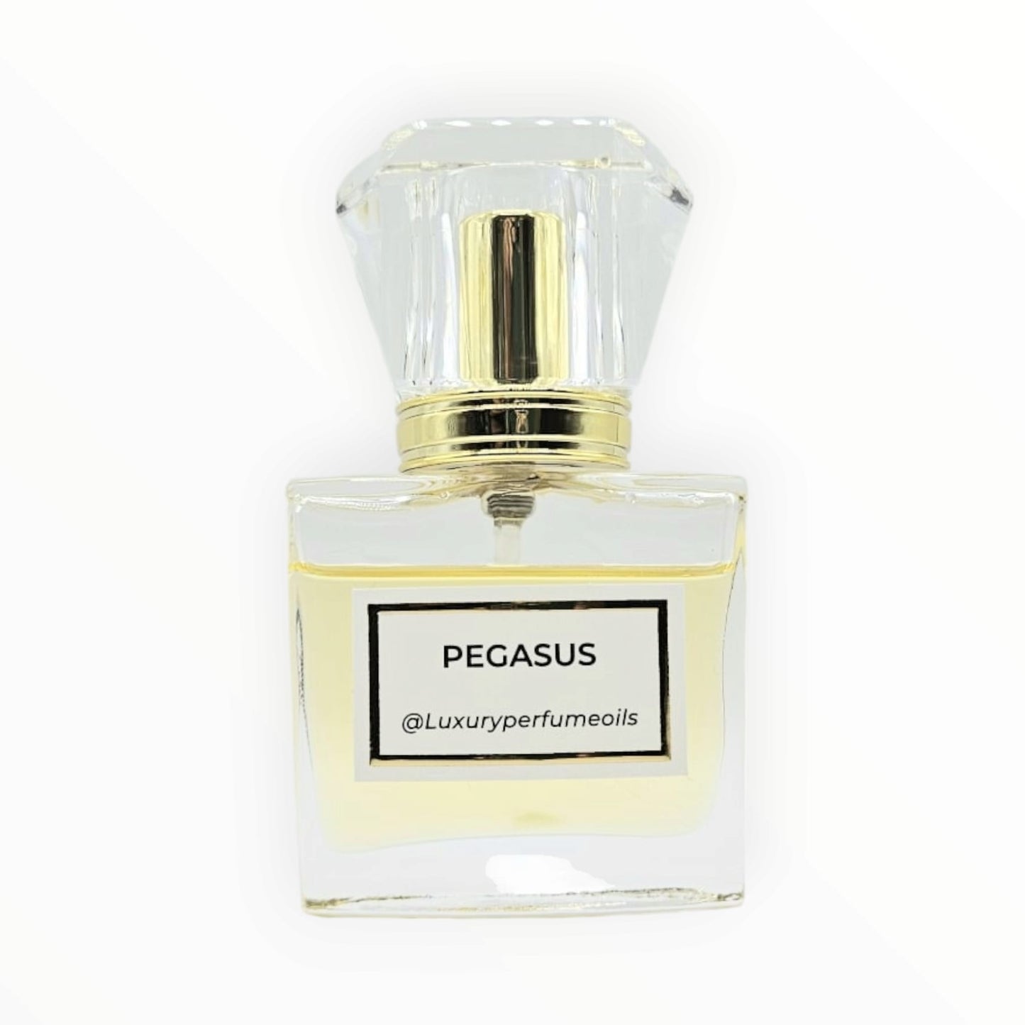 Pegasus (Inspired by De Marly)