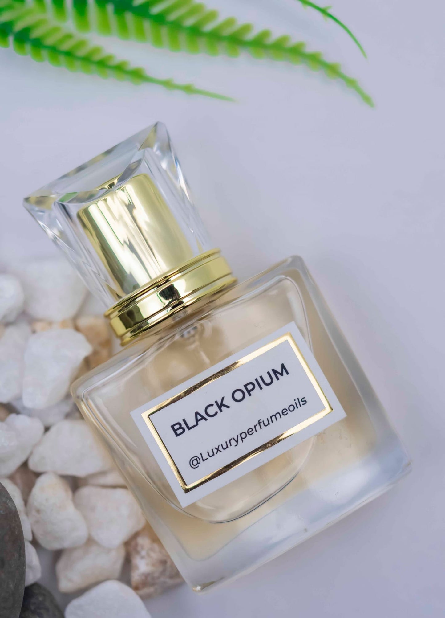 Black Opium (Inspired by Ysl)