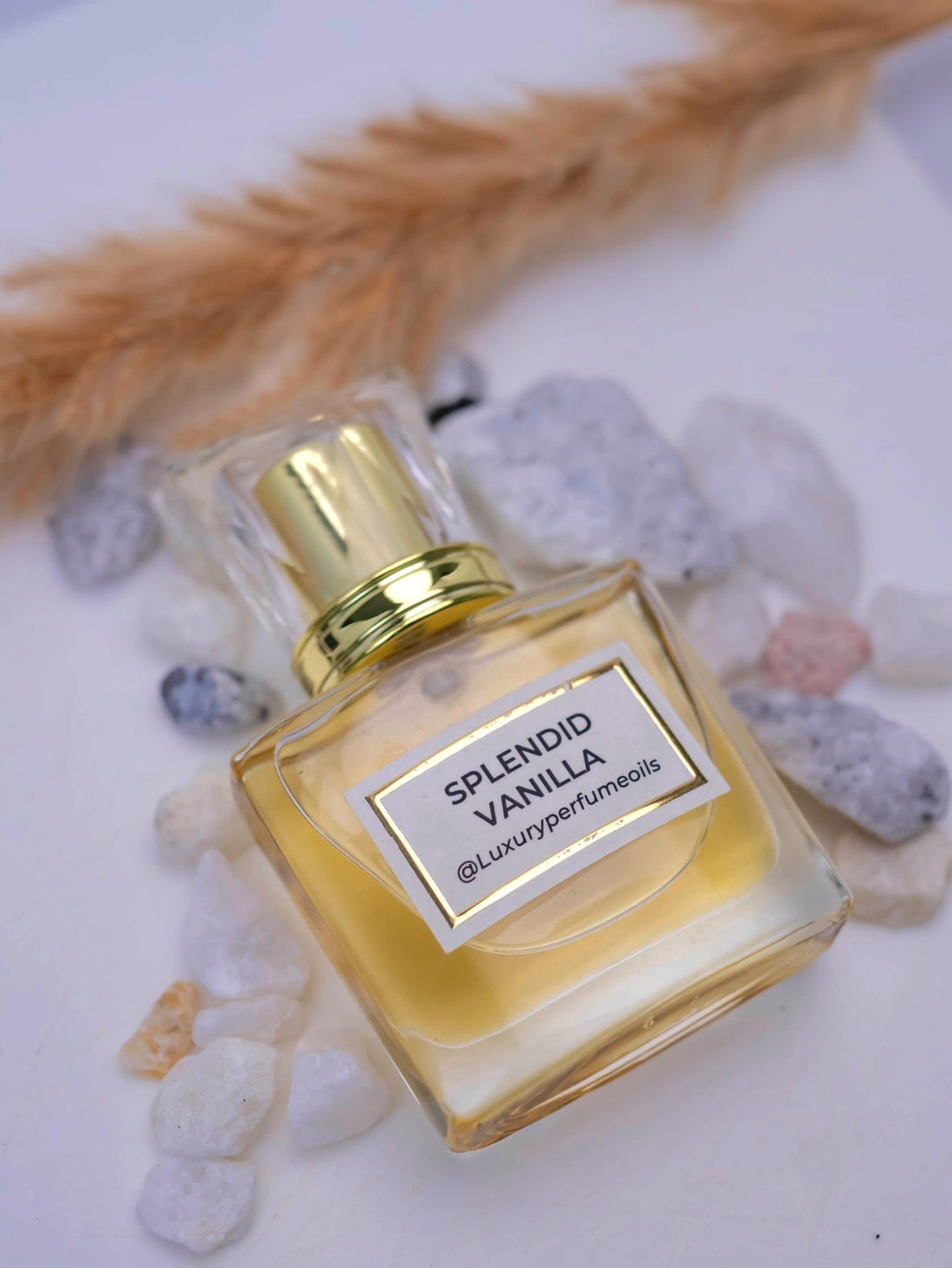 Our Version of Splendid Vanilla alcohol-free perfume oil by Luxury Perfume Oils MD