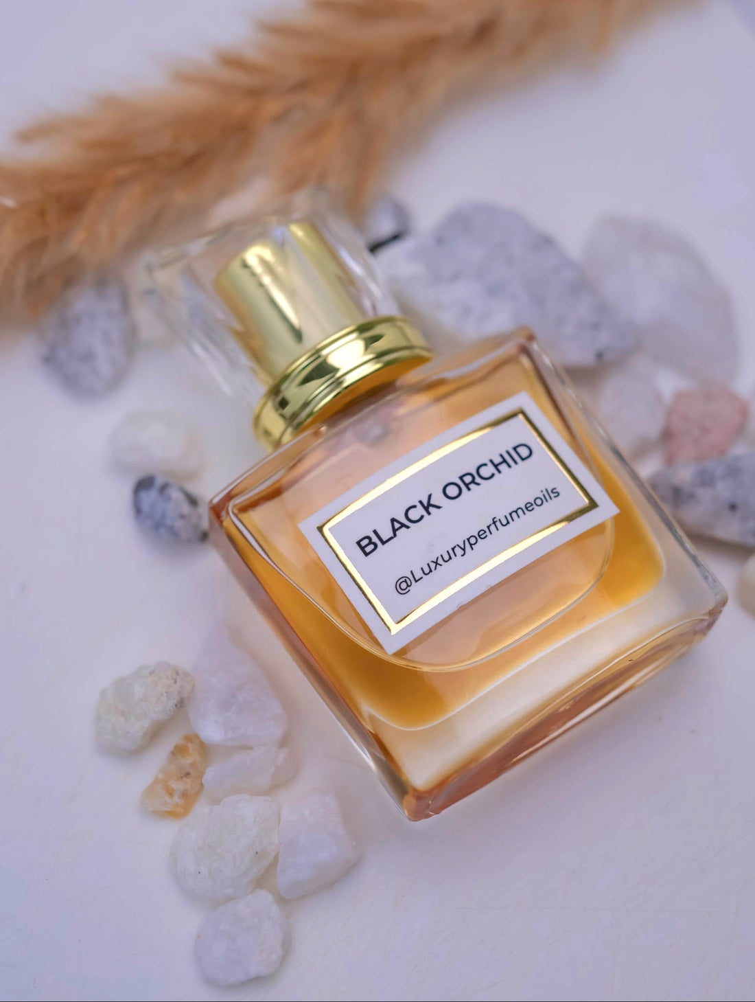 Our Version of Black Orchid alcohol-free perfume oil by Luxury Perfume Oils MD