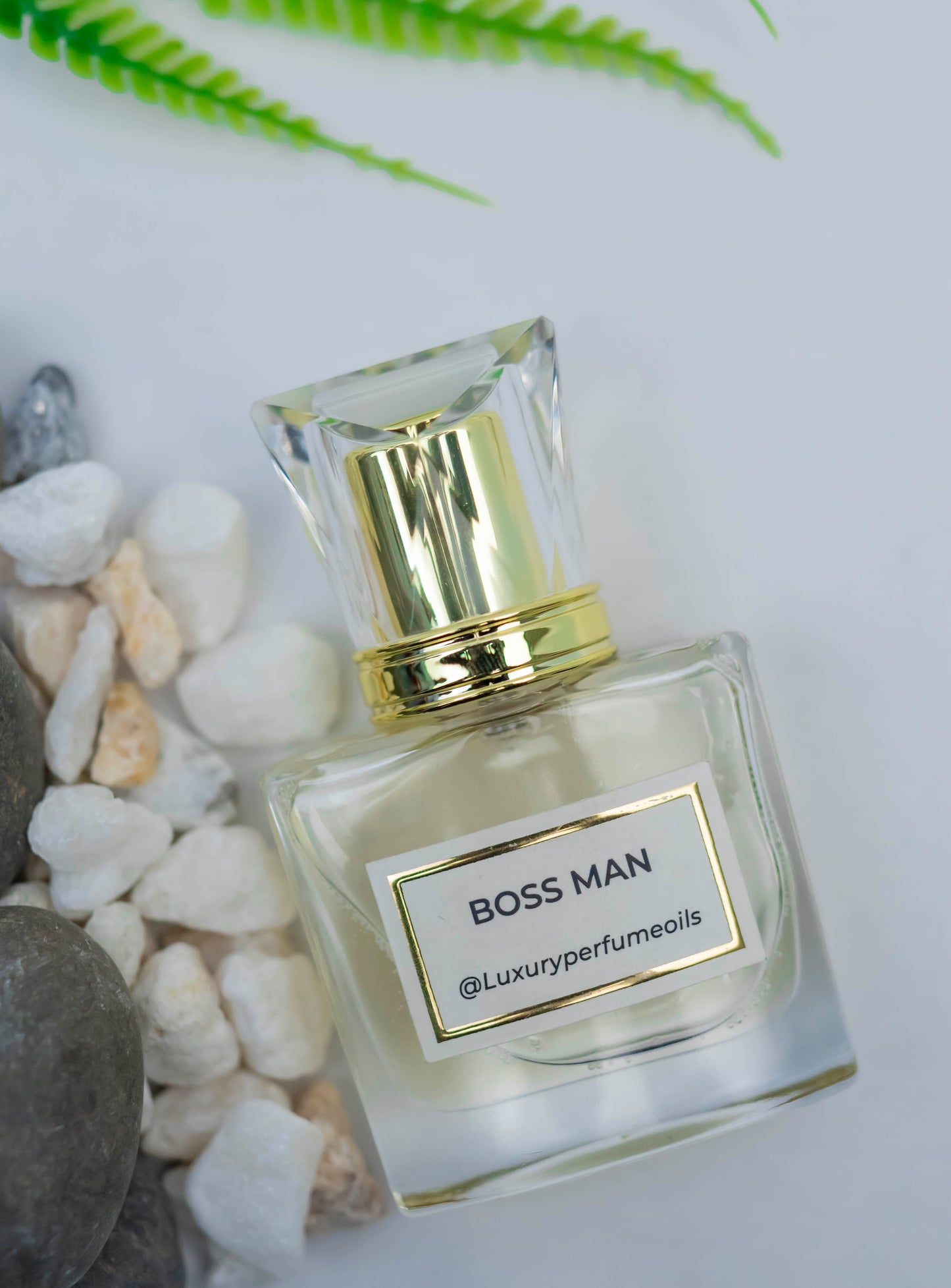 Boss Man (Inspired by Hugo)